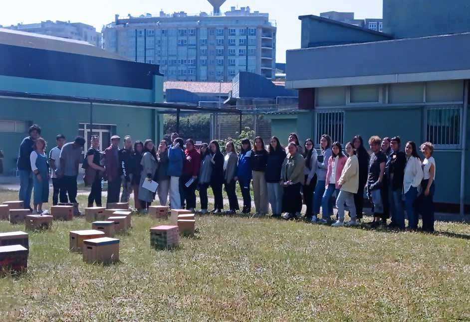 XÓVENES EN ACCIÓN + A ESCOLA MUSEO